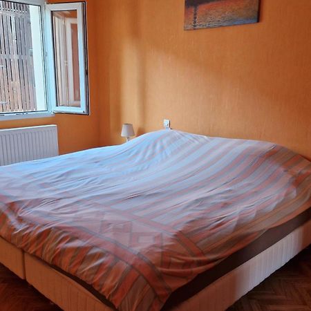 Appartement Le Grillenbreit Кольмар Екстер'єр фото