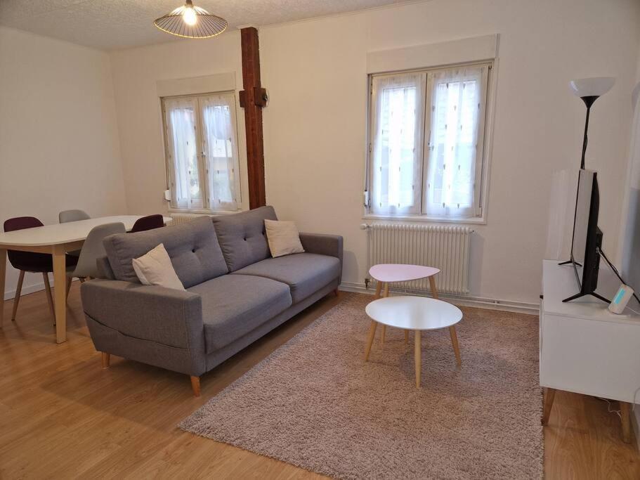 Appartement Le Grillenbreit Кольмар Екстер'єр фото